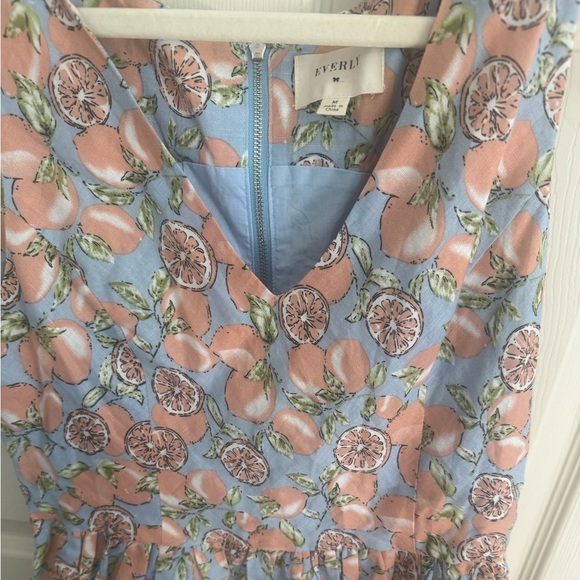 Everly Ace the Dress in Sky Lemons Citrus Blue Sz M A-line - Picture 3 of 12
